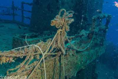 Navi, pescherecci e sommergibili: viaggio tra i relitti che giacciono sul fondo del mare